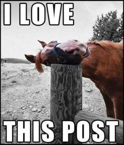 horse_post.jpg